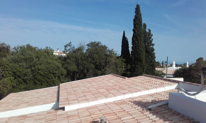 New Roof 2