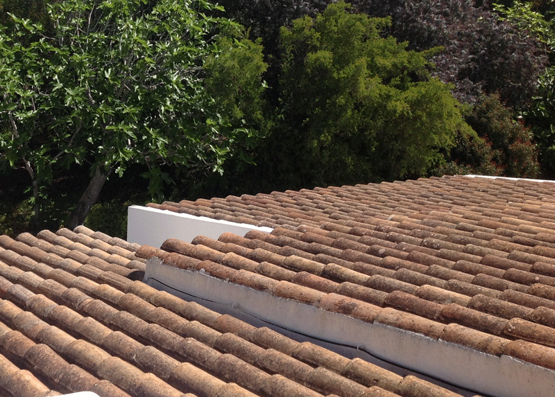 Original Roof